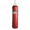 Everlast Leather Punching Bag